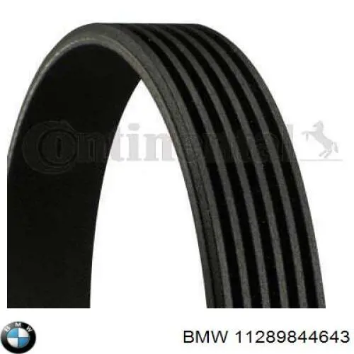 11289844643 BMW Correia dos conjuntos de transmissão