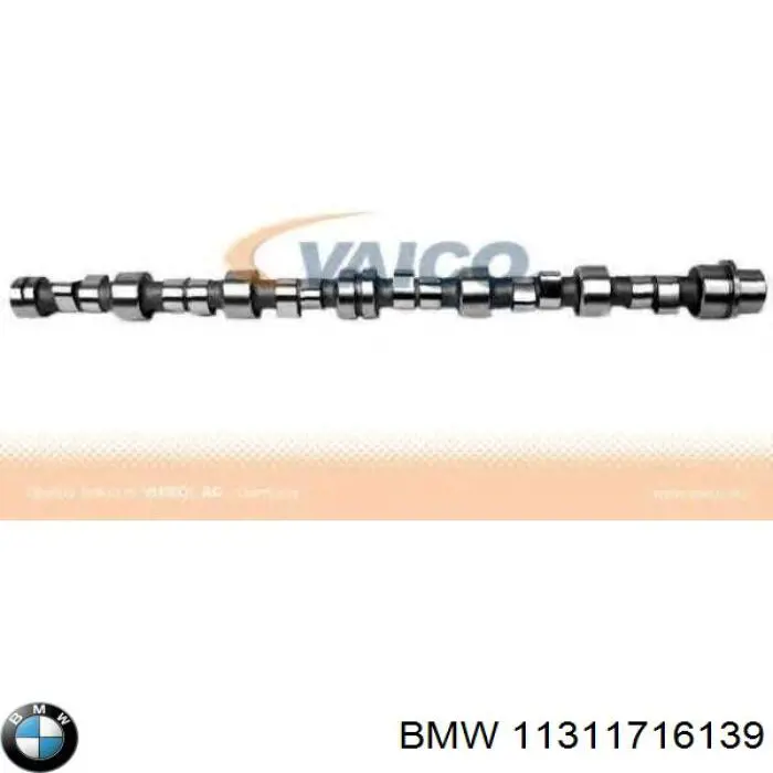 11311716139 BMW Árvore distribuidora de motor
