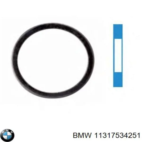 11317534251 BMW Vedante de reguladora de tensão da cadeia do mecanismo de distribuição de gás