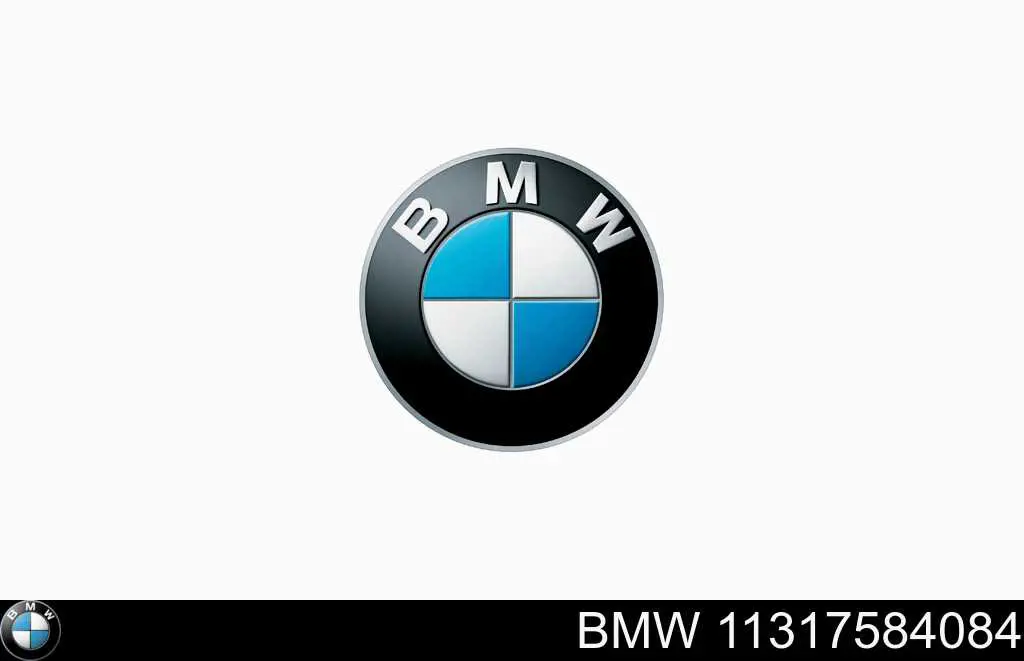 Compre 11317584084 BMW Cadeia do mecanismo de distribuição de gás