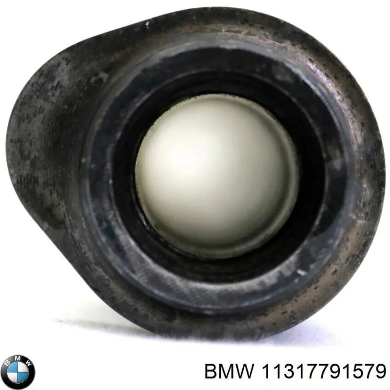 Árvore distribuidora de motor de admissão BMW 11317791579 preço, a partir de 316,21 USD