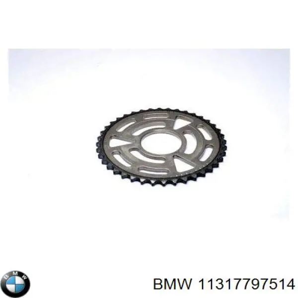 11317797514 BMW Engrenagem de cadeia da roda dentada da árvore distribuidora de motor