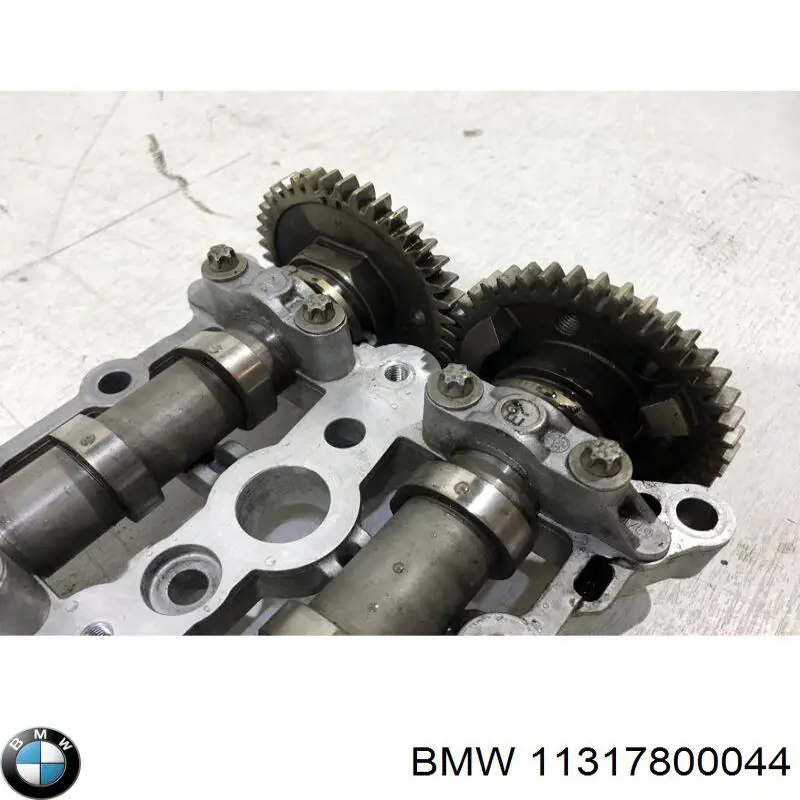 Cama da árvore distribuidora BMW X5  E70