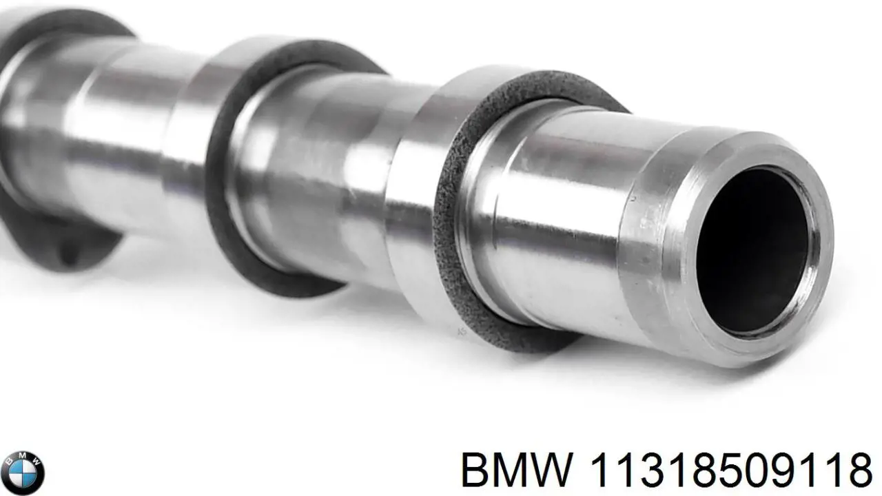 Compre 11318509118 BMW Árvore distribuidora de motor de admissão