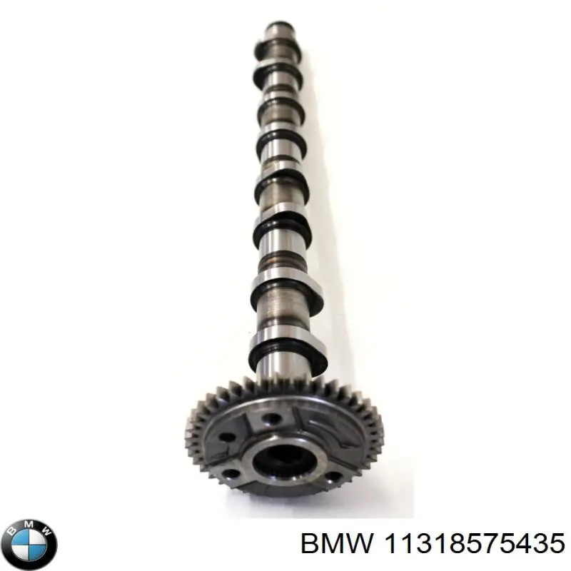 11318575435 BMW Árvore distribuidora de motor de admissão