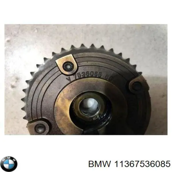 Engrenagem de cadeia de roda dentada da árvore distribuidora de escape de motor BMW 11367536085 preço, a partir de 109,76 USD