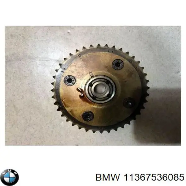 Compre 7536085 BMW Engrenagem de cadeia de roda dentada da árvore distribuidora de escape de motor