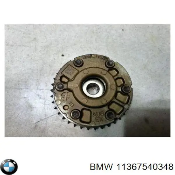 Compre 11367540348 BMW Engrenagem de cadeia de roda dentada da árvore distribuidora de escape de motor