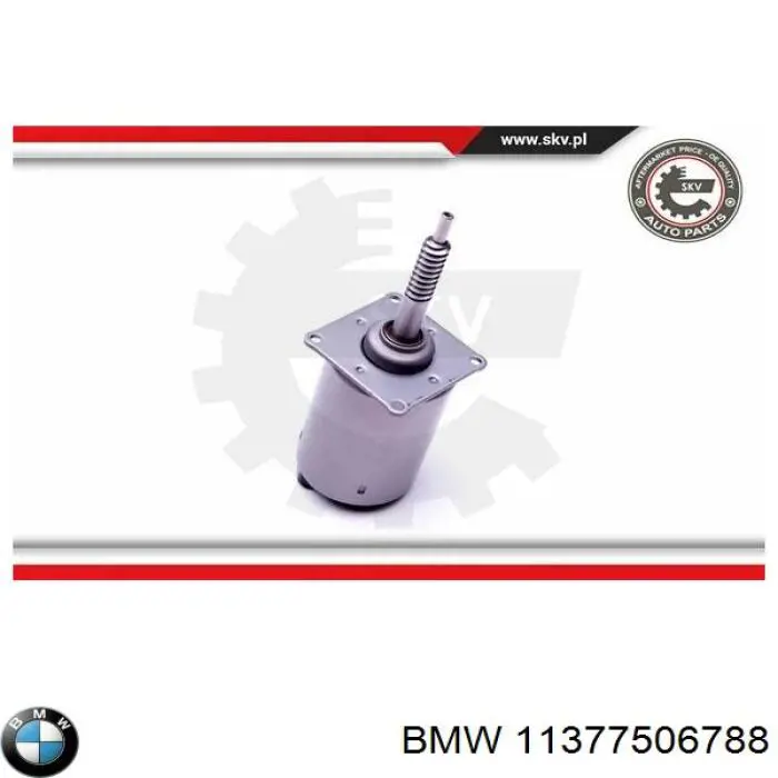 Compre 11377506788 BMW Válvula eletromagnética de posição (de fases) da árvore distribuidora