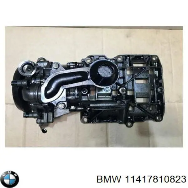 7810823 BMW Bomba de óleo