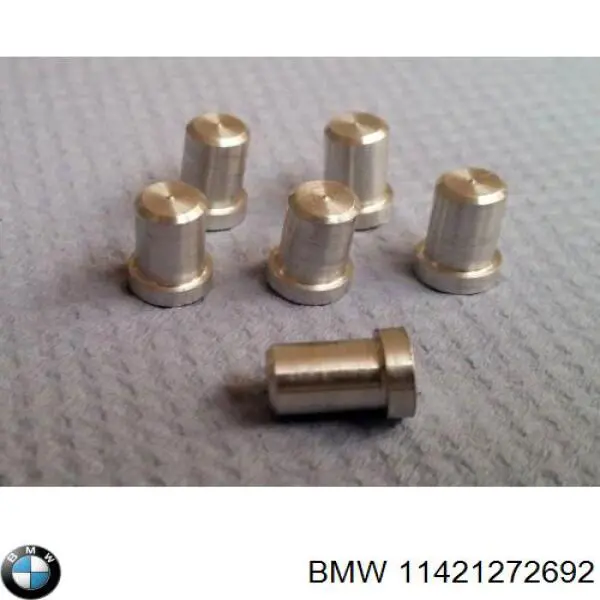 11421272692 BMW Injetor de óleo