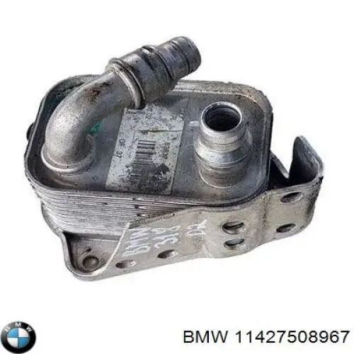 11427508967 BMW Radiador de óleo (frigorífico), debaixo de filtro