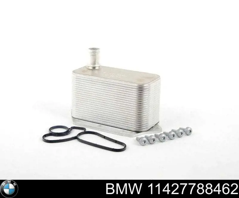 Radiador de óleo (frigorífico), debaixo de filtro BMW 11427788462 preço, a partir de 64,41 USD