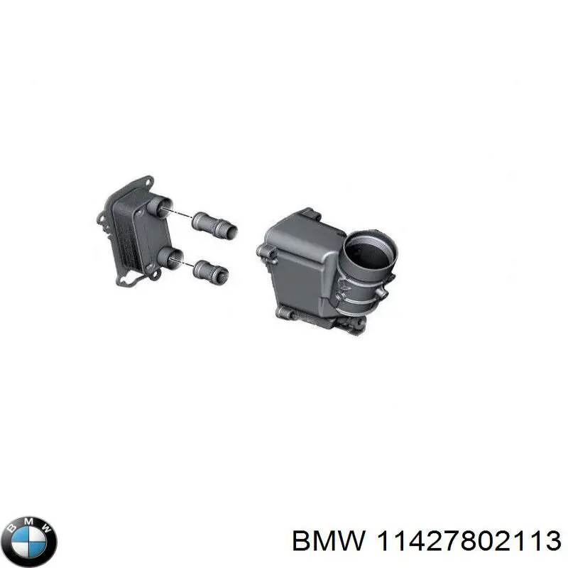 11427802113 BMW Radiador de óleo