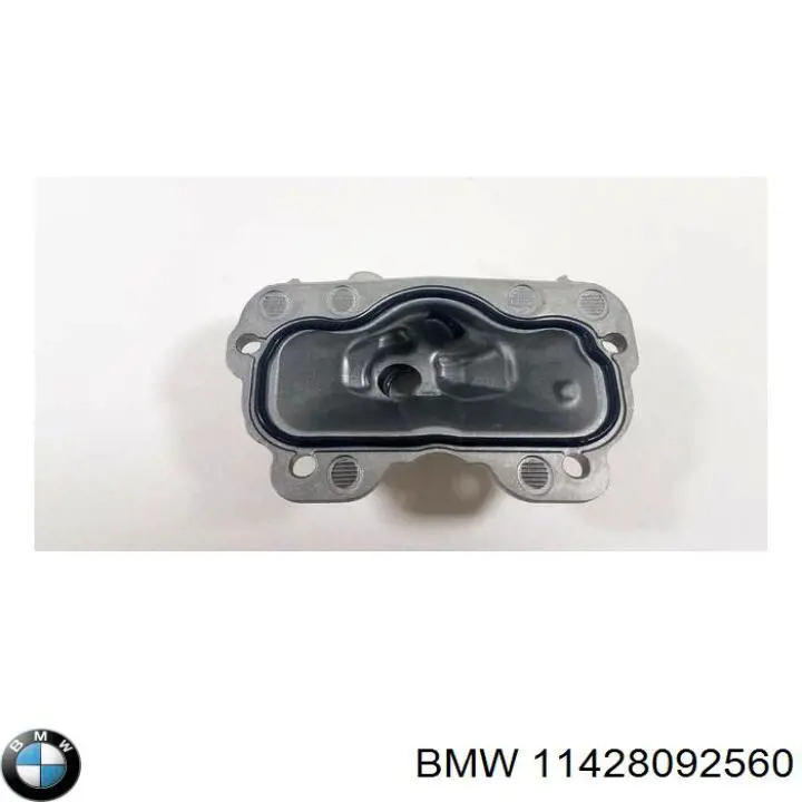 11428092560 BMW 