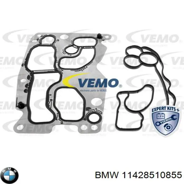 11428510855 BMW Radiador de óleo (frigorífico), debaixo de filtro