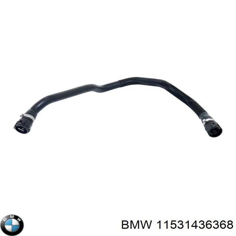 11531436368 BMW Mangueira (cano derivado) inferior do radiador de esfriamento