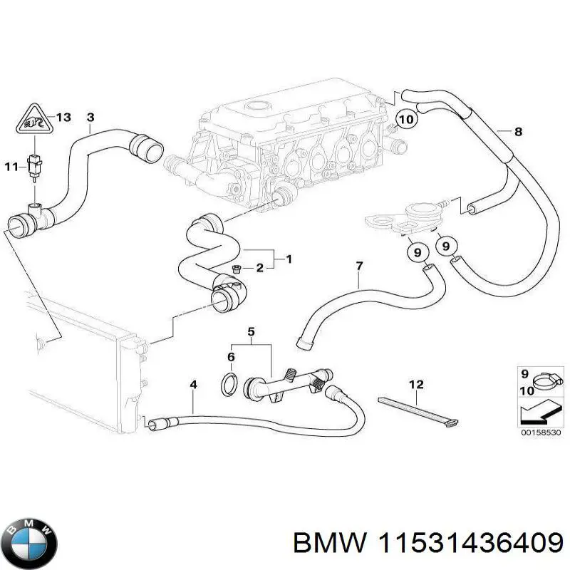 Mangueira (cano derivado) inferior do radiador de esfriamento BMW 11531436409 preço, a partir de 29,05 USD