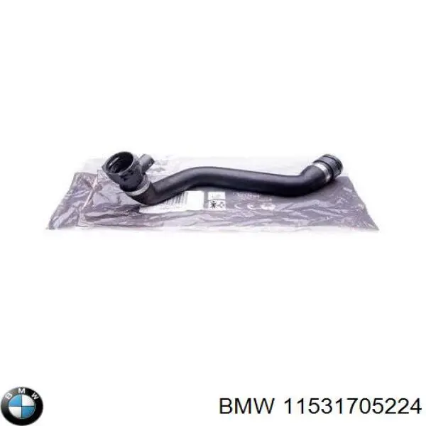 Mangueira (cano derivado) inferior do radiador de esfriamento BMW 11531705224 preço, a partir de 23,75 USD
