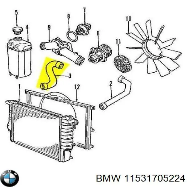Compre 11531705224 BMW Mangueira (cano derivado) inferior do radiador de esfriamento