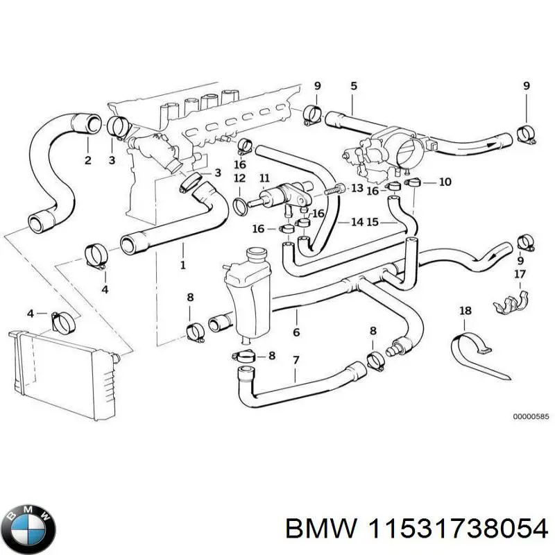 Compre 11531738054 BMW Mangueira (cano derivado) inferior do radiador de esfriamento