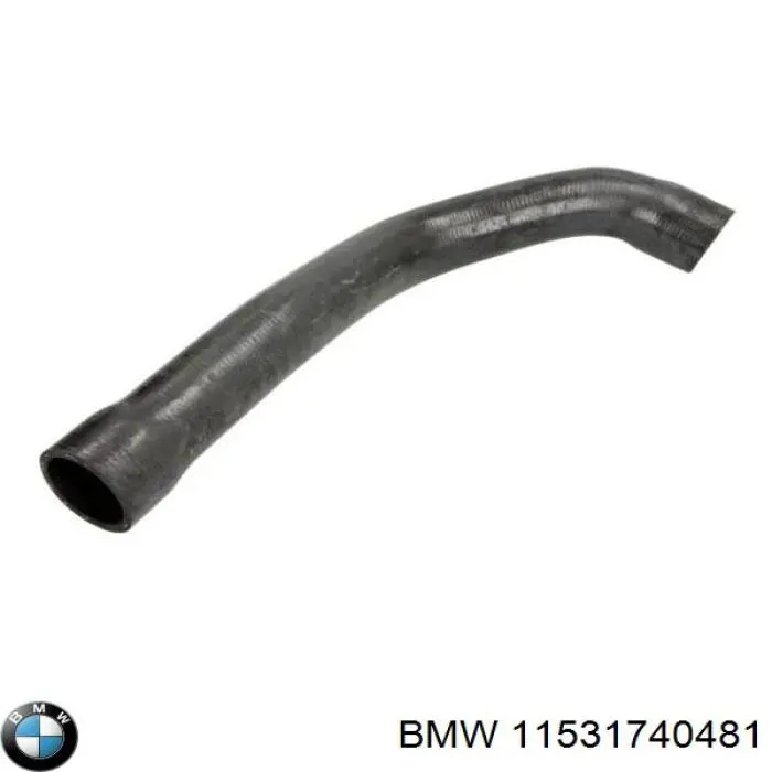 Compre 11531740481 BMW Mangueira (cano derivado) inferior do radiador de esfriamento