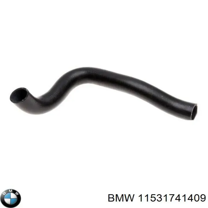 Compre 11531741409 BMW Mangueira (cano derivado) inferior do radiador de esfriamento