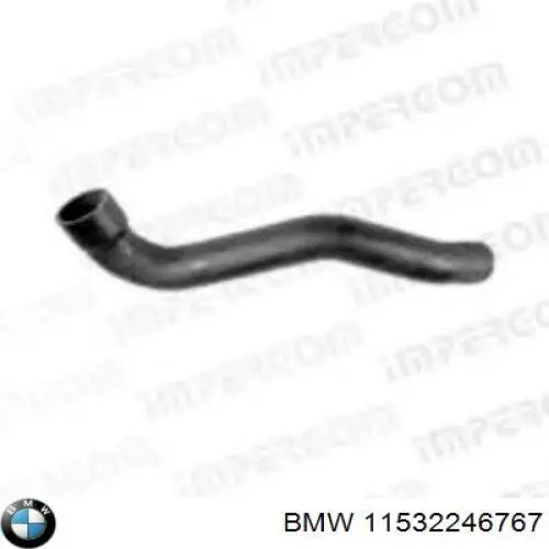 11532246767 BMW Mangueira (cano derivado) inferior do radiador de esfriamento
