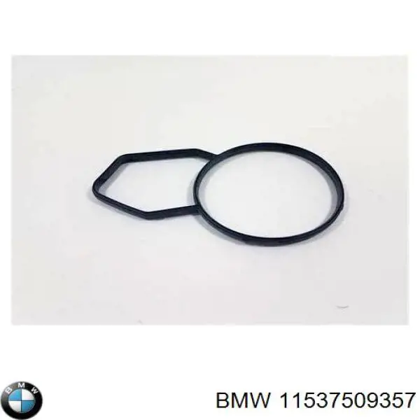 Compre 11537509357 BMW Vedante de termostato