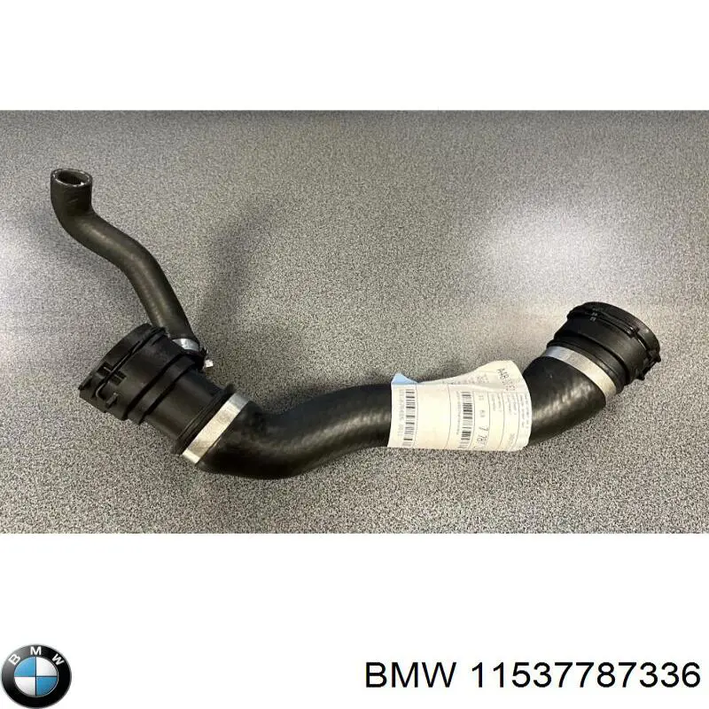 11537787336 BMW Mangueira (cano derivado) do radiador de esfriamento superior
