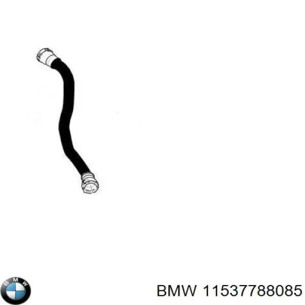 Mangueira (cano derivado) inferior do radiador de esfriamento BMW 11537788085 preço, a partir de 76,78 USD