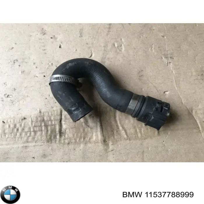 Compre 11537788999 BMW 