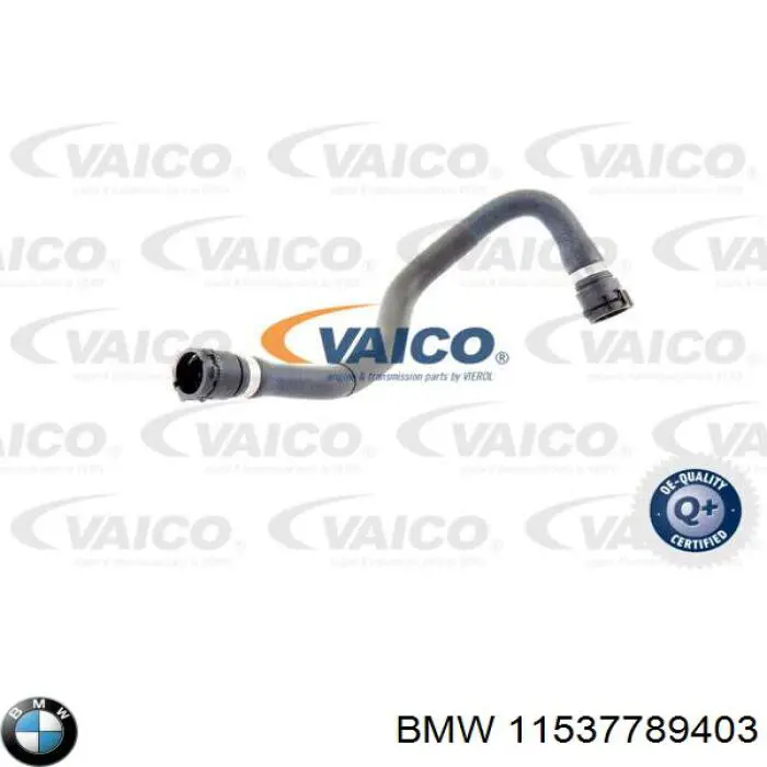Mangueira (cano derivado) do sistema de esfriamento BMW 11537789403 preço, a partir de 40,12 USD
