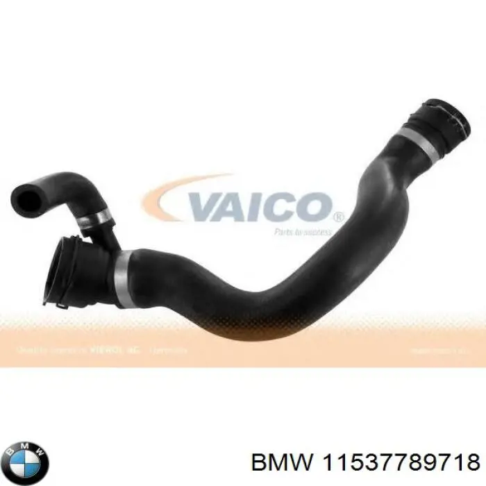 Mangueira (cano derivado) inferior do radiador de esfriamento BMW 11537789718 preço, a partir de 42,18 USD