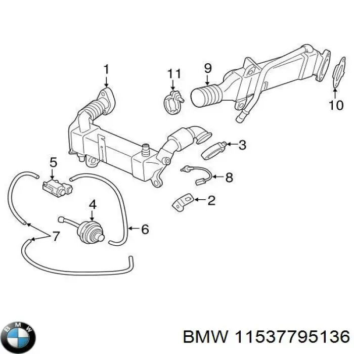 11537795136 BMW Mangueira (cano derivado) de radiador EGR, fornecimento