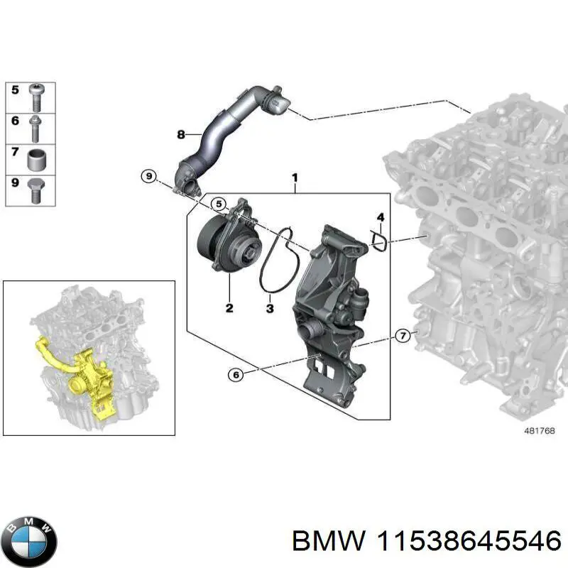 Mangueira (cano derivado) do sistema de esfriamento para BMW 1  F40