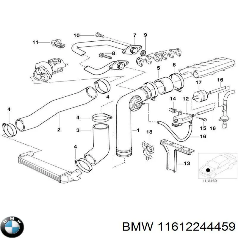 Mangueira (cano derivado) inferior do radiador de esfriamento BMW 11612244459 preço, a partir de 70,62 USD