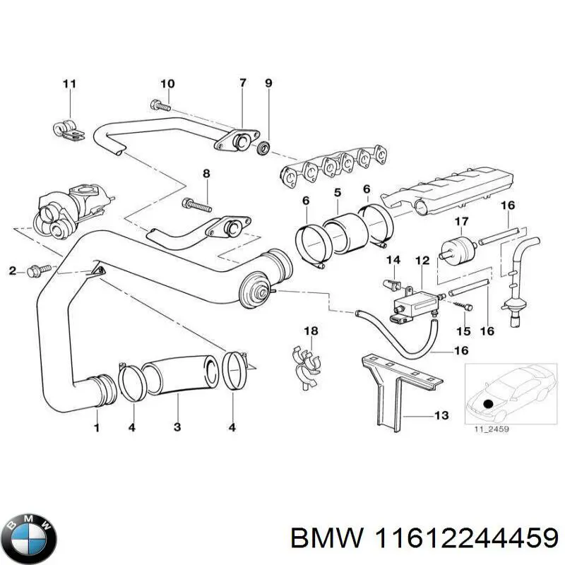 Compre 11612244459 BMW Mangueira (cano derivado) inferior do radiador de esfriamento