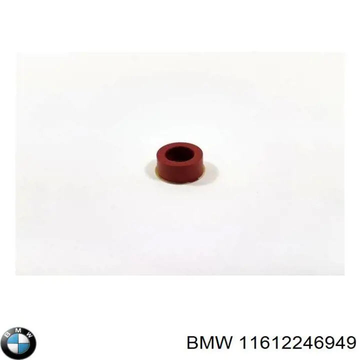 Compre 11612246949 BMW Vedante de tubo coletor de admissão