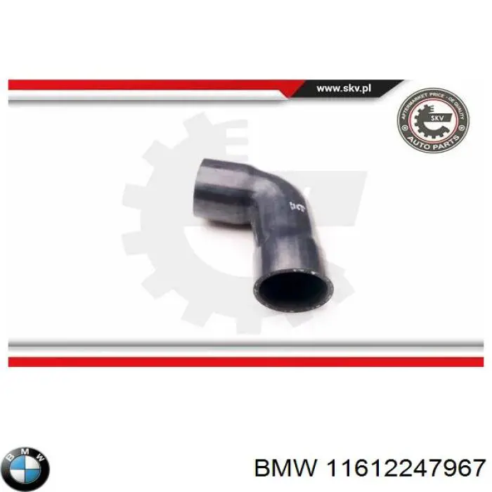 11612247967 BMW Mangueira (cano derivado) de intercooler