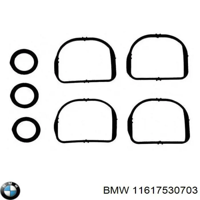 11617530703 BMW Vedante de tubo coletor de admissão