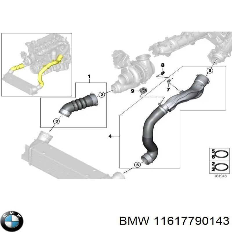 Compre 11617790143 BMW Mangueira (cano derivado) de intercooler