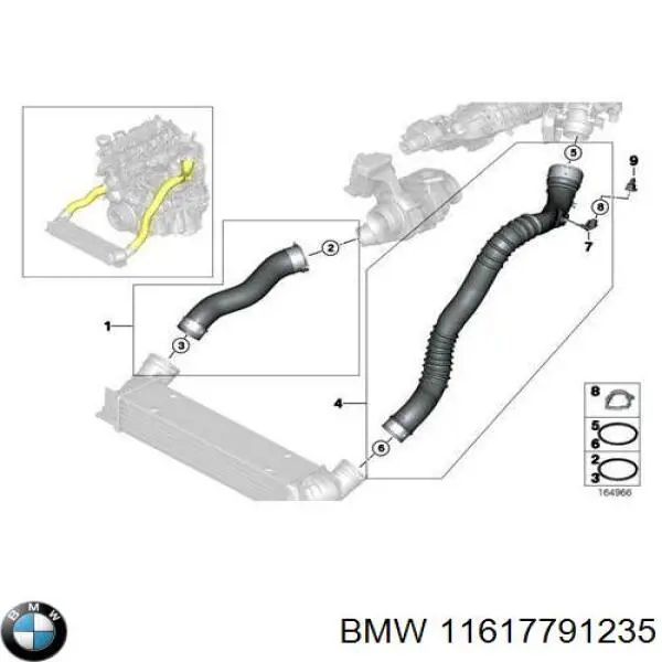 11617791235 BMW Anel de vedação (vedante) de cano derivado de intercooler
