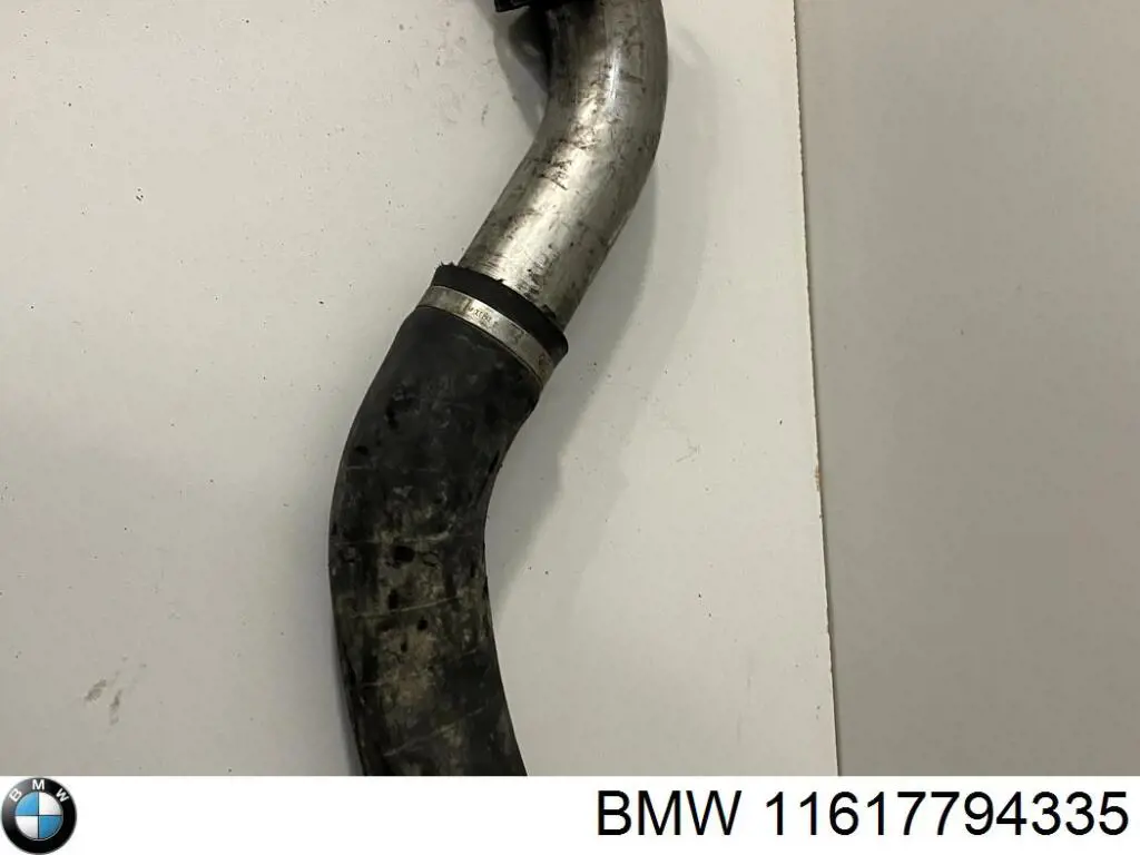 Compre 11617794335 BMW Mangueira (cano derivado) de intercooler