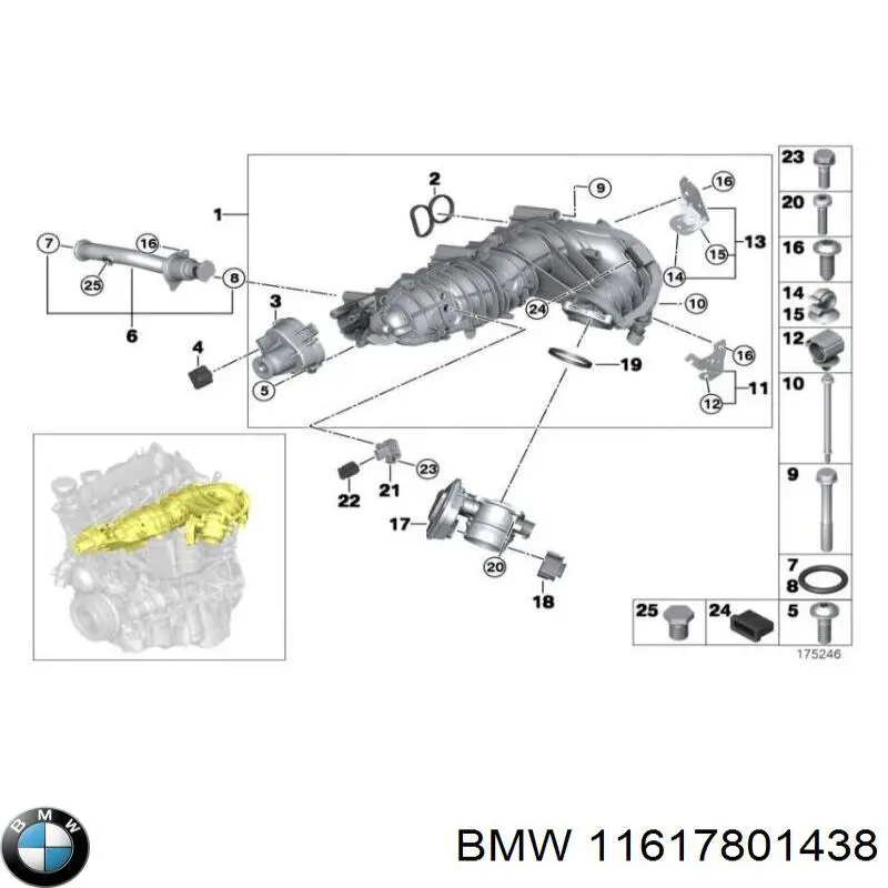 11617801438 BMW Vedante de tubo coletor de admissão