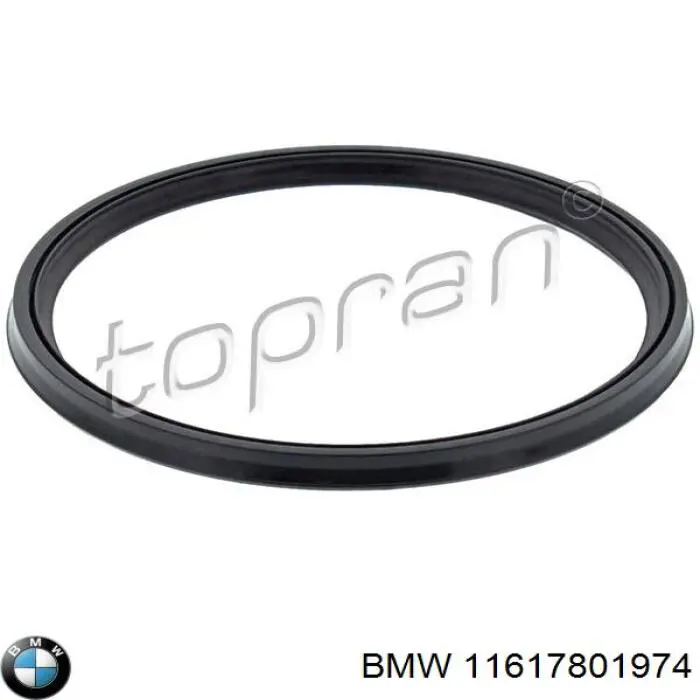 11617801974 BMW Anel de vedação (vedante) de cano derivado de intercooler