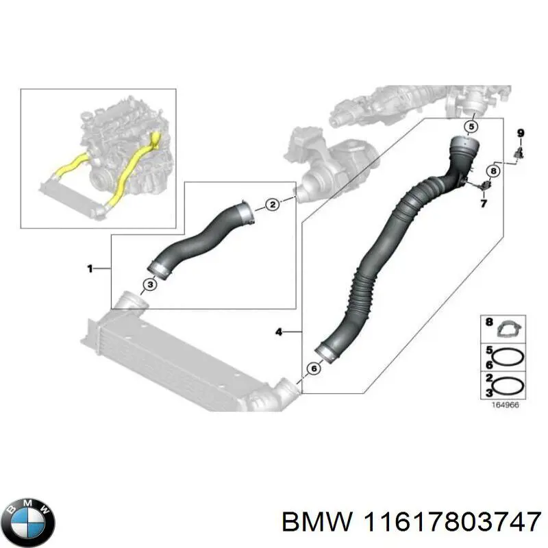 11617803747 BMW Mangueira (cano derivado) de intercooler