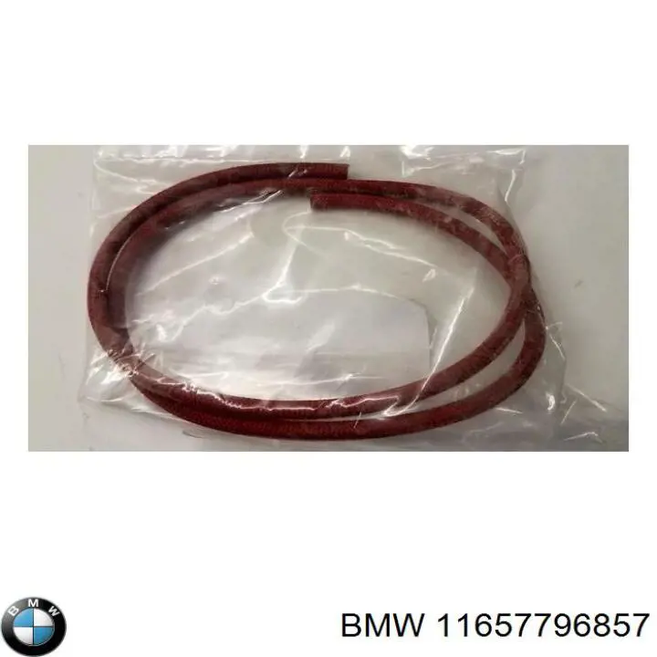11657796857 BMW Tubo de impulsionador de vácuo dos freios