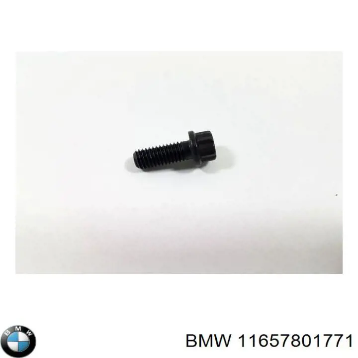 11657801771 BMW Parafuso (prego) de fixação de turbina
