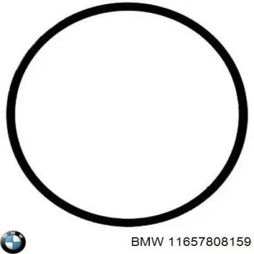Compre 11657808159 BMW Vedante de turbina dos gases de escape, admissão